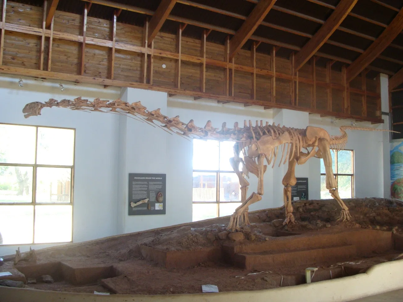 Malawisaurus 2 Untitled