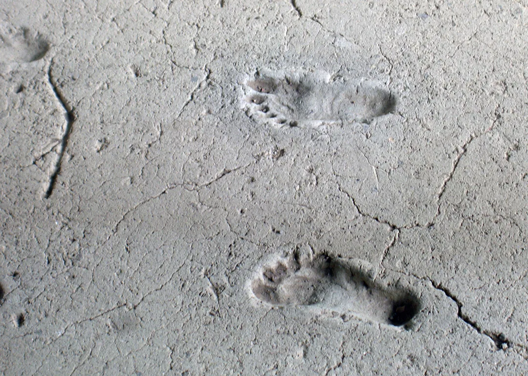 HuellasdeAcahualinca Untitled