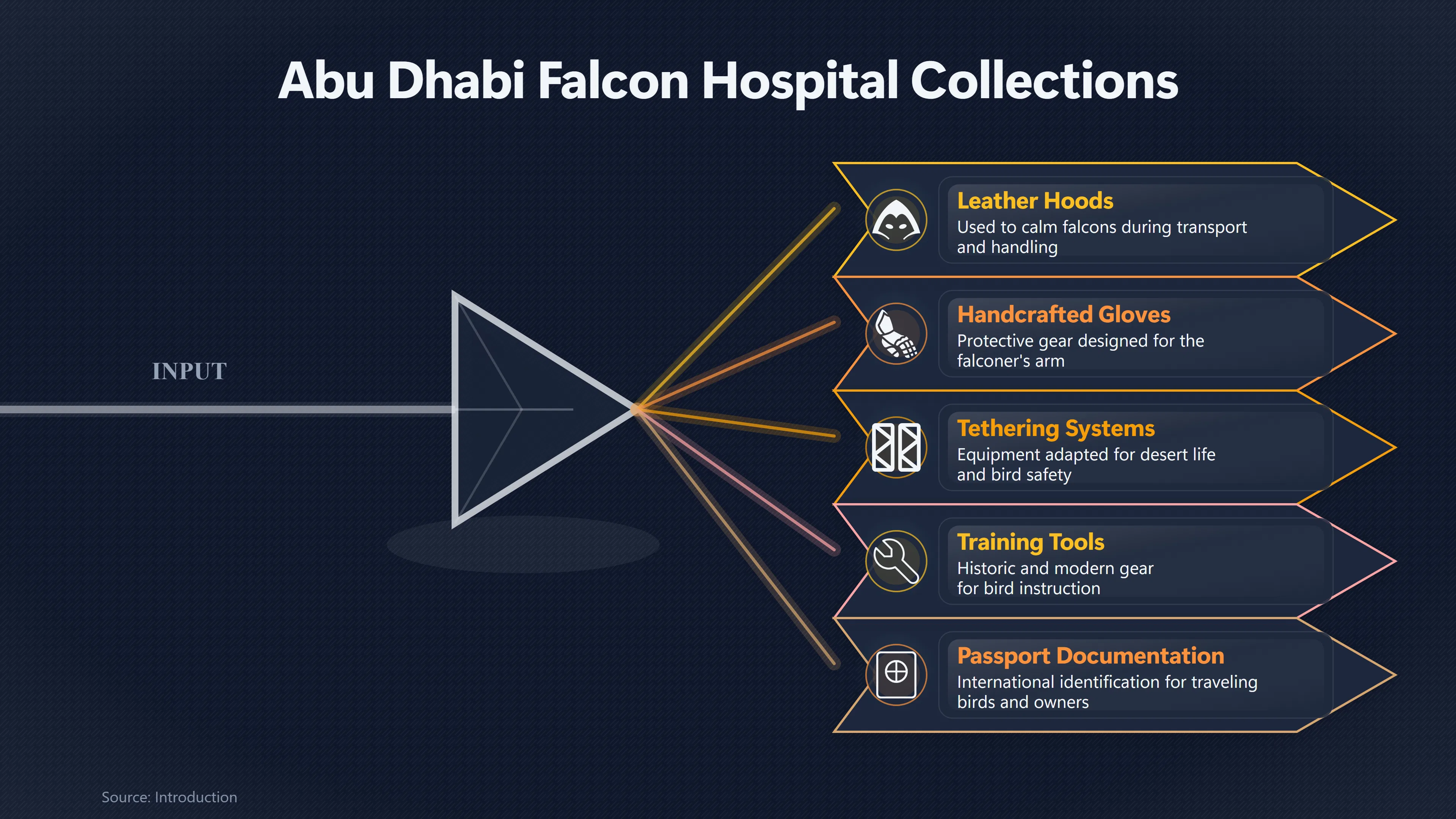 Preview for How Falcons Became Symbols Of UAE Heritage