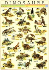 Listing image for Dinosaur wall chart poster Size A2