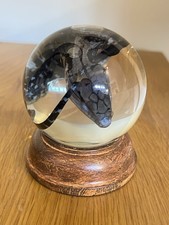Listing image for Blue Tongued Skink Wet Specimen Globe Taxidermy Oddity Curiosity Collectible
