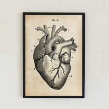 Listing image for Anatomical Heart Vintage Medical Antique Illustration A4 Wall Decor Art Print