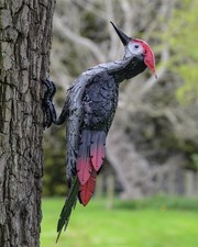 Listing image for Woodpecker Bird Garden Ornament - Sculpture Outdoor Wildlife Decor