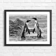 Listing image for Cute African Penguins On Coast Rock Black & White Framed Wall Art Print Large