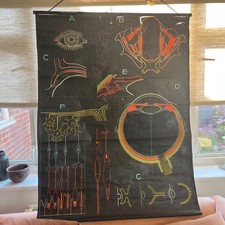 Listing image for Vintage 1950s Dr Auzoux Paul Sougy Eye Anatomy Pull Down School Chart Poster S50