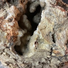Listing image for Missouri Druzy Quartz Natural Fossilized Coral Stone Natural History Display
