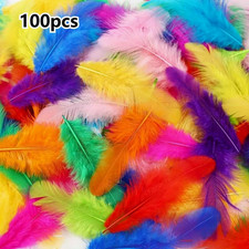 Listing image for 100pcs Mixed Colour Craft Feathers | DIY, Easter Crafts, Decorations & Art Decor