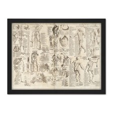 Listing image for Chambers 1728 Cyclopaedia Human Anatomy Diagram Framed Wall Art Print 18X24 In