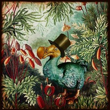 Listing image for Dodo Bird print Giclée art print, home décor original design Alice in Wonderland