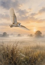 Listing image for Barn Owl A4 Wildlife Art Print Watercolour Style Bird Wall Art Unframed