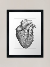 Listing image for Human Heart Anatomy Sketch Framed A Framed Wall Art Poster Canvas Print Picture