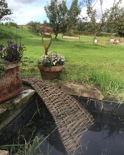 Listing image for Hedgehog pond ramp, conservation, pond decorations, gardener gift, wildlife,
