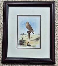 Listing image for Vintage UAE Falcon Print by Navroji - Dubai Heritage Art Framed - Middle East