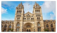 Listing image for Natural History Museum London Fridge Magnet Travel Souvenir Gift Collectible