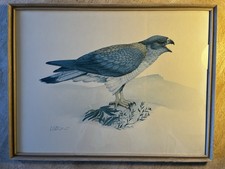 Listing image for Retro 1970’s print of a Peregrine Falcon picture. Art