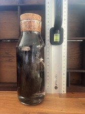 Listing image for Rat Wet Specimen Taxidermy Oddities Curiosities Collectible Display
