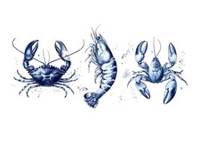 Listing image for Marine Life Trio Wall Art Poster - Coastal Decor Premium Quality