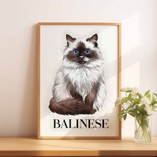 Listing image for A4 A5 Balinese Cat Illustration Wall Art Print