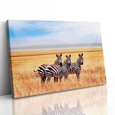 Listing image for Zebras in Tanzania Savannah Canvas Framed Print Picture Wall Art