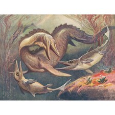 Listing image for Harder Mosasaurus Ichthyosaurs Prehistoric Marine Canvas Wall Art Print Poster