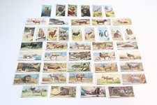 Listing image for Vintage Joblot of Tobacco Cards Natural History Cigarettes Man Cave Collectible