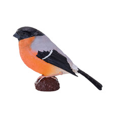 Listing image for Realistic Bullfinch Bird Toy Figure Wildlife Collectible Educational Model Gift