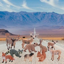 Listing image for 10 Pieces Animals Wildlife Models Lifelike Educational Toys Office Decorations