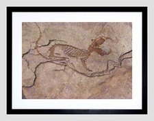 Listing image for PHOTO ARCHAEOLOGY FOSSIL DINOSAUR REMAINS ROCK NEW FRAMED ART PRINT B12X11014