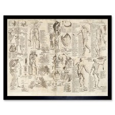 Listing image for Chambers 1728 Cyclopaedia Human Anatomy Diagram Wall Art Print Framed 12x16
