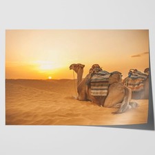 Listing image for Camel in Sahara Desert at Sunset Canvas Framed Print Picture Wall Art