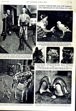 Listing image for Old Vintage Print 1951 Whipsnade Zoo Giraffe Science Museum Penguin Cats 20th
