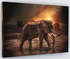 Listing image for STUNNING AFRICAN ELEPHANT ANIMAL SUNSET CANVAS PICTURE PRINT FRAMED WALL ART