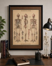 Listing image for Framed Skeletal System Anatomy Chart Print Medical Educational Wall Art 81x62cm