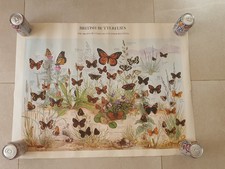Listing image for Vintage 1978 Butterflies Poster Natural History Museum By Joyce Bee 77cm X 60cm