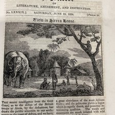Listing image for Antique Print - 1824 - view in SIERRA LEONE + article