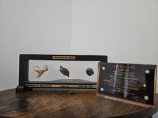 Listing image for Wonders of the World – Real Meteorite & Fossils in Display Frame with COA
