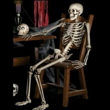 Listing image for 170cm Halloween Poseable Skeleton Full Life Size Human Skeleton Decoration Props