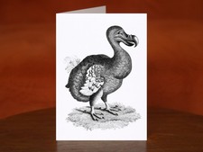 Listing image for Dodo by George Shaw (1806 - 1807) - A5 Art Print Greeting Card