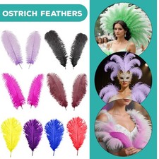 Listing image for 5-10x Large Ostrich Feathers Fly Plume Craft Hat Arts Wedding Party Decorations