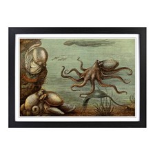 Listing image for Vintage Natural History Octopus Framed Wall Art Print Home Decor Ready to Hang