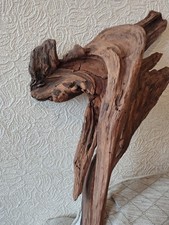 Listing image for Drift Wood Reptile V Wolf