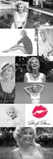 Listing image for Marilyn Monroe HISTORY OF BEAUTY Fashion Legend Huge 21x62 Door-Sized POSTER