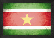 Listing image for Suriname vintage flag Framed Wall Art Poster Canvas Print Picture